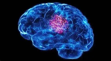 1741571595849356.jpg 1741571595849356.jpg